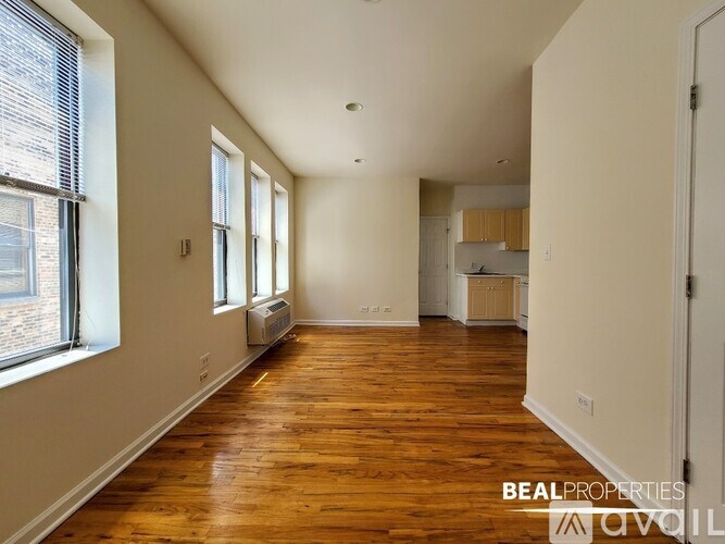 917 W Dakin St Studio Apartment for Rent - Photo gallery 3