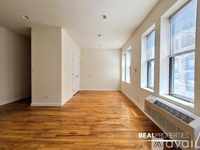 917 W Dakin St Studio Apartment for Rent - Photo gallery 4