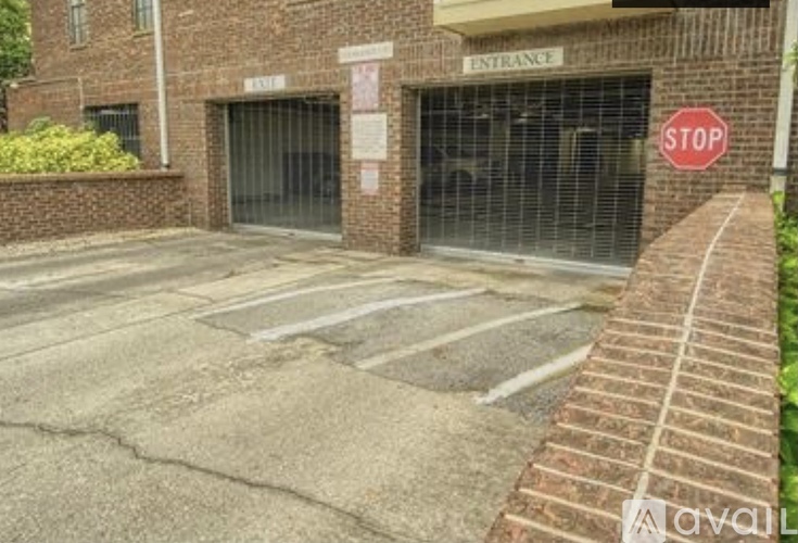 1000 West Horatio Street 1 Condo for Rent - Photo gallery 2