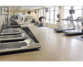 A gym with treadmills and elliptical machines.