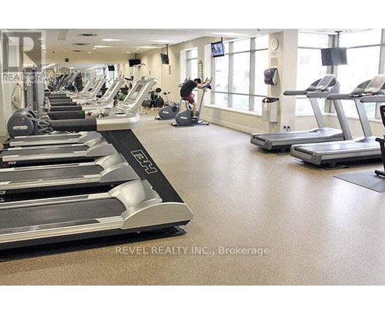 A gym with treadmills and elliptical machines.
