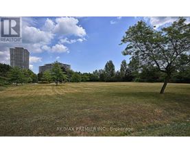 A grassy field with trees and buildings in the background.