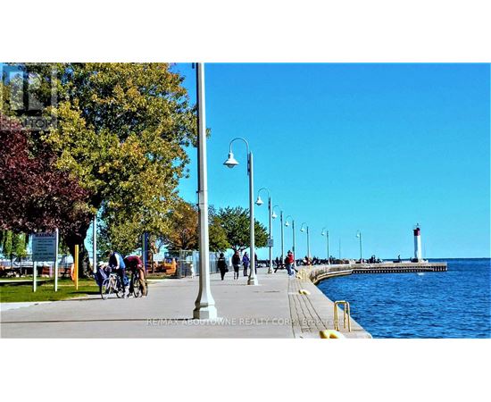 A sunny day at the waterfront with people walking and cycling.
