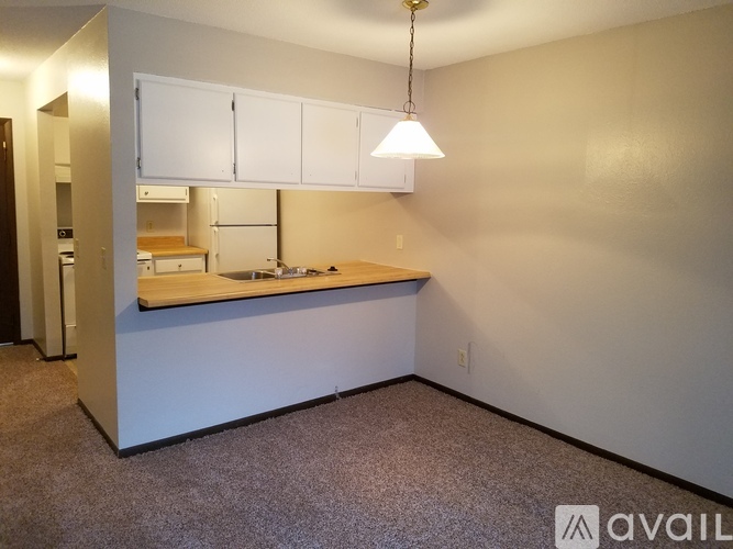 A kitchen area with a counter and cabinets.