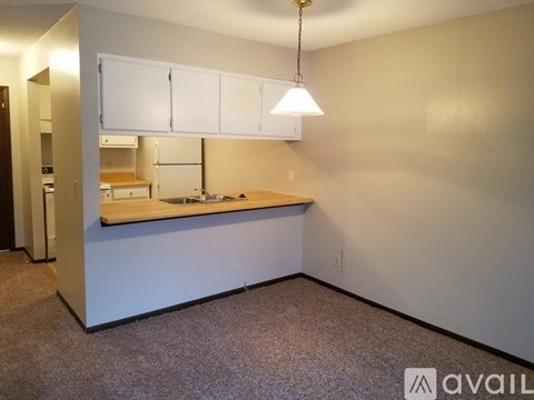 A kitchen area with a counter and cabinets.