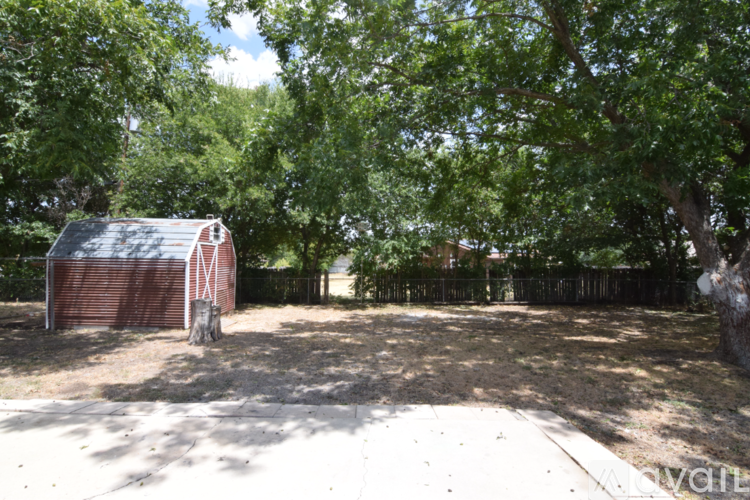A shed sits in a backyard surrounded by trees.