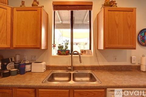 A kitchen with wooden cabinets and a window.