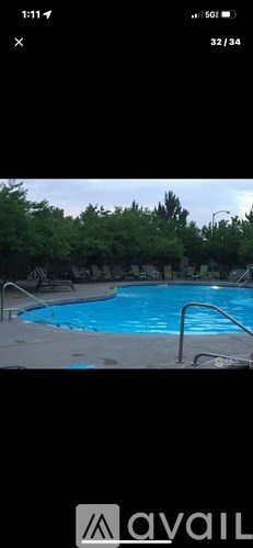 A swimming pool surrounded by trees.