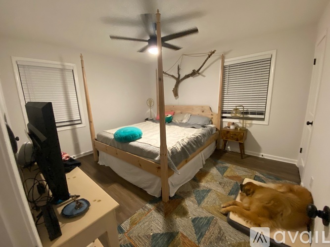 A bedroom with a bed, a fan, a TV, and a dog lying on the floor.