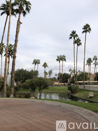 A park with palm trees and a pond.