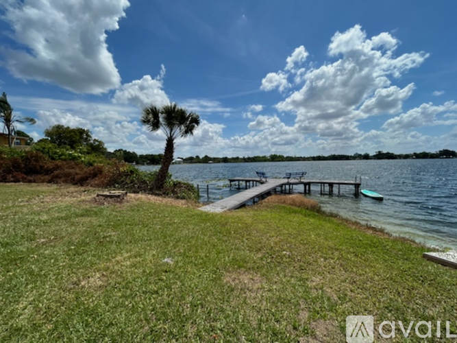 A palm tree stands on a grassy area next to a body of water.