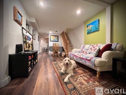 A dog is sitting on a rug in a living room.