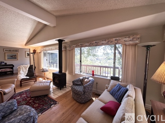 A living room with a wood stove and a couch.