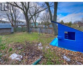 A blue shed sits in a backyard with a playground in the background.