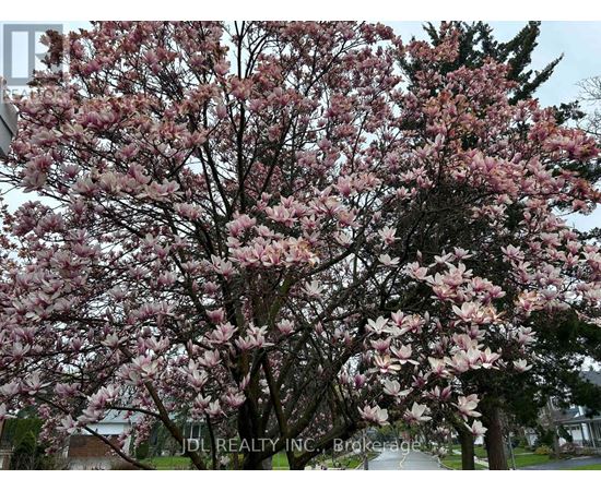 A tree with pink blossoms is in the foreground with a building in the background.