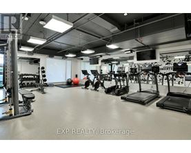 A gym with treadmills, weights, and exercise balls.