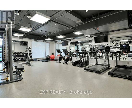 A gym with treadmills, weights, and exercise balls.