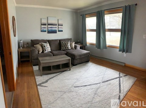 A living room with a grey couch and a white rug.