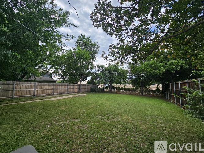 A backyard with a fence and trees.