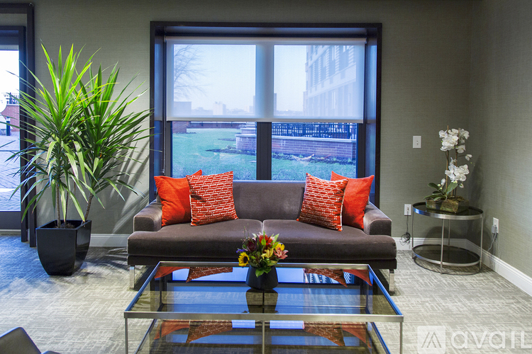 A living room with a grey couch, a glass table, and a potted plant.