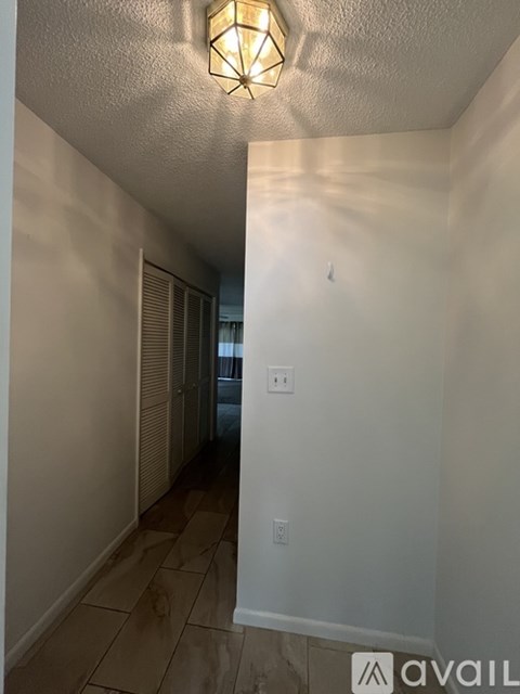A hallway with a light on the ceiling and a door on the right.
