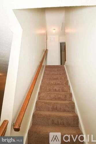 A staircase with a brown carpet and wooden handrails.