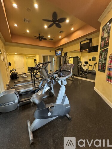 A gym with treadmills and elliptical machines.
