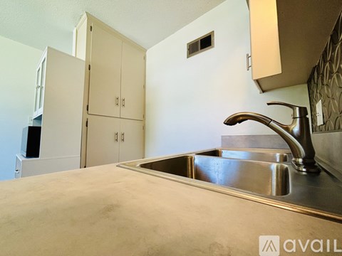 A kitchen with a sink and cabinets.