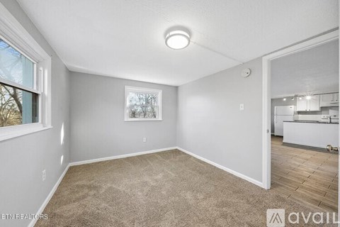A room with a carpeted floor and a window on the left side.
