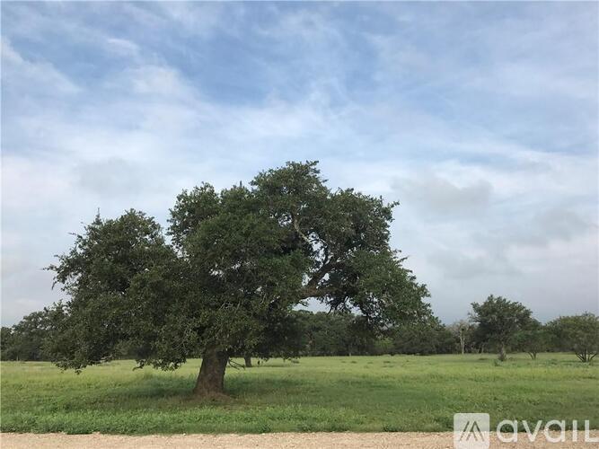 A large tree stands in a grassy field under a cloudy sky.
