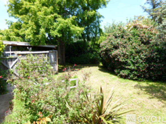 A garden with a shed and a chair.