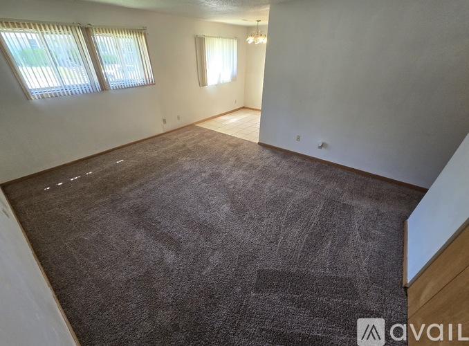 A room with a carpeted floor and two windows.