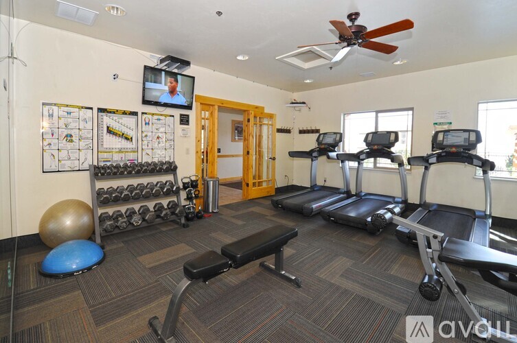 A gym room with a variety of equipment including treadmills, weights, and a television.