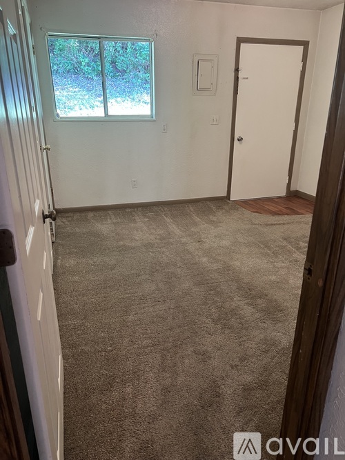 A room with a carpeted floor, a window, and a door.
