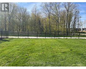 A grassy field with trees and a fence in the background.