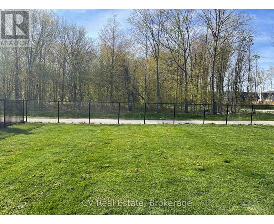 A grassy field with trees and a fence in the background.