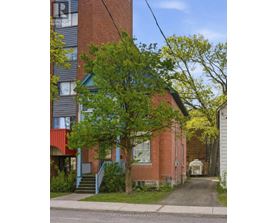 A tree with green leaves is in front of a red brick building.