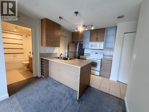 A kitchen with a counter and cabinets.
