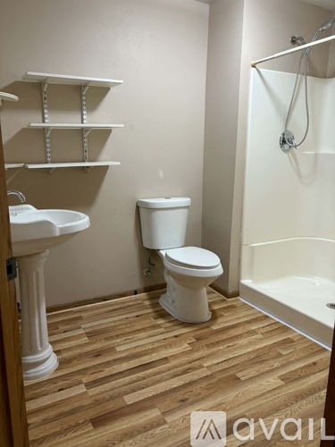 A bathroom with a toilet, sink, and shelves.