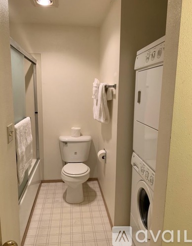 A small white toilet sits in a small bathroom next to a washing machine.