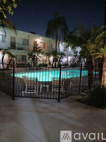 A pool surrounded by a fence and palm trees at night.