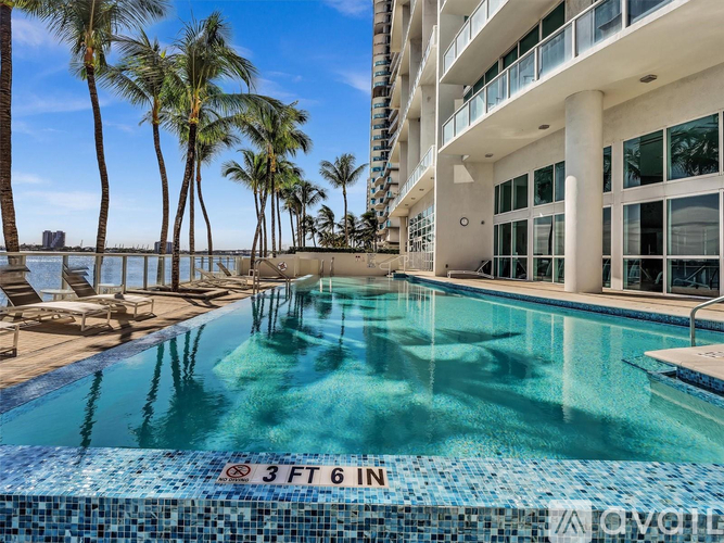 A 3ft deep swimming pool surrounded by palm trees and a white building.