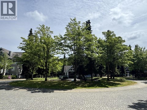 A cobblestone road leads through a park with trees and a house in the background.