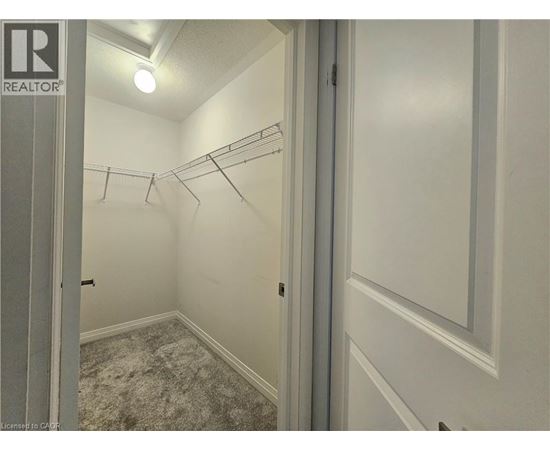 A bedroom with a carpeted floor and a closet with a coat rack.