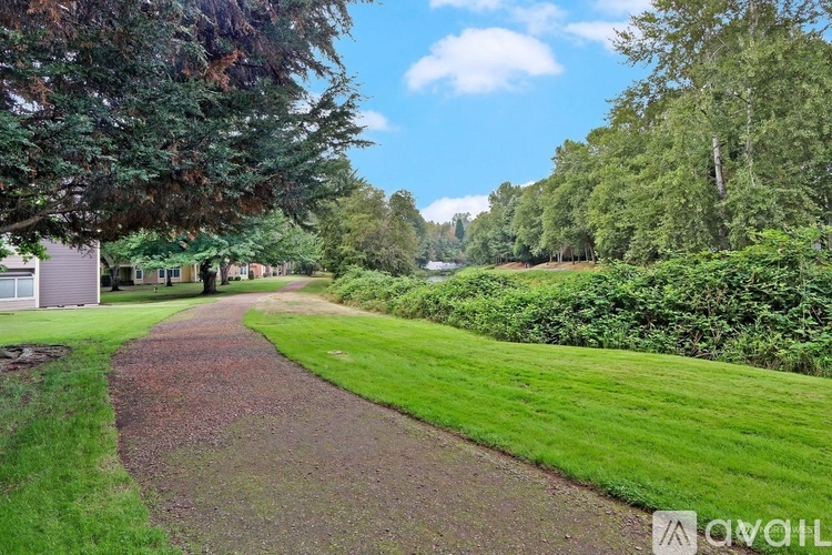A pathway in a park with green grass on either side.
