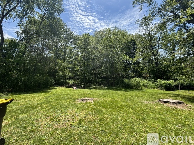 A grassy field with trees in the background and a bench in the foreground.