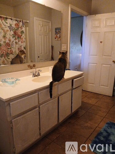 1081 County Road 580 3 Beds Single Family Home for Rent - Photo gallery 5