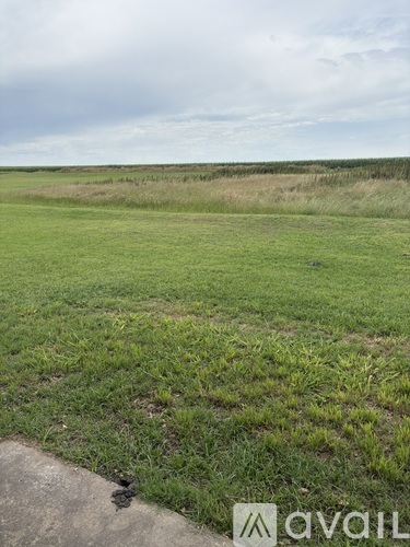 A grassy field with a cloudy sky in the distance.
