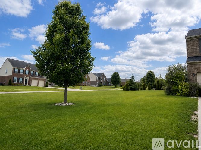 A tree stands alone in a grassy field with houses in the background.