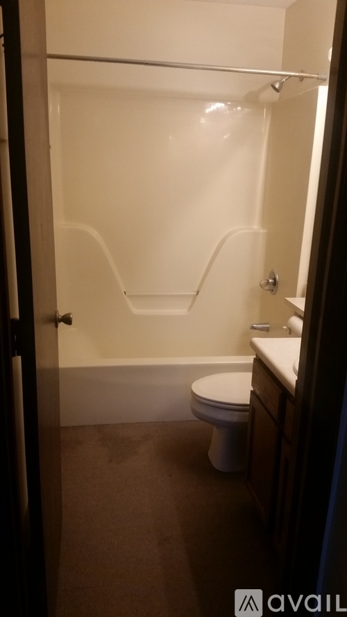 A bathroom with a toilet and a walk in shower.